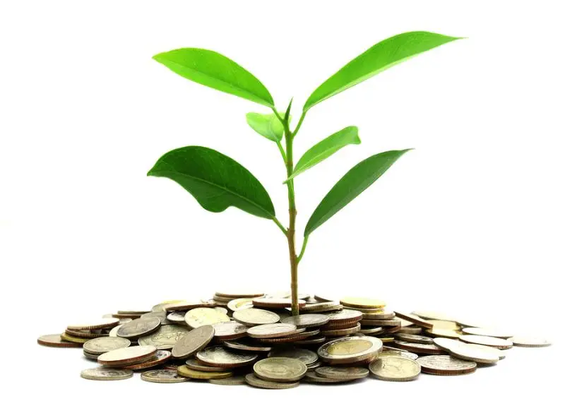 Инвестиции SKF в сохранение экологии | Свежие новости в Рязани